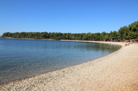Apartman Val 1 Novigrad  ภายนอก รูปภาพ